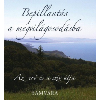 BEPILLANTÁS A MEGVILÁGOSODÁSBA (2014)