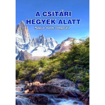 A CSITÁRI HEGYEK ALATT - ZONGORA KOTTA (2014)