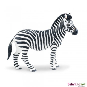 ZEBRA (271729) (2014)