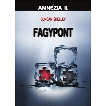 FAGYPONT - AMNÉZIA II. (2014)