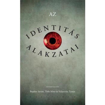 AZ IDENTITÁS ALAKZATAI (2015)