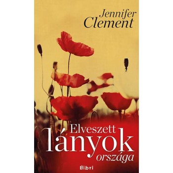 ELVESZETT LÁNYOK ORSZÁGA (2015)
