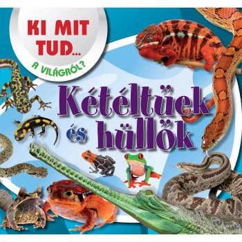 KÉTÉLTŰEK ÉS HÜLLŐK - KI MIT TUD... A VILÁGRÓL? (2014)