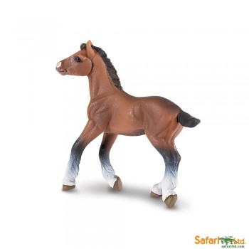 CLYDESDALE CSIKÓ (151405) (2015)