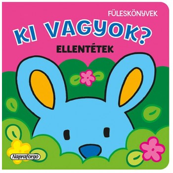 KI VAGYOK? - ELLENTÉTEK (2015)