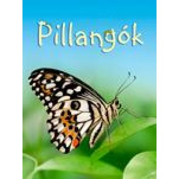PILLANGÓK (KIS KÖNYVÁR) (2015)