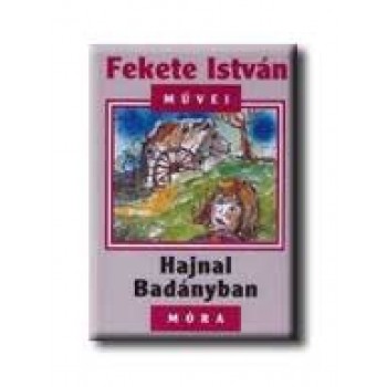 HAJNAL BADÁNYBAN