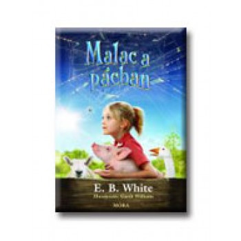 MALAC A PÁCBAN
