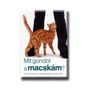 MIT GONDOL A MACSKÁM?