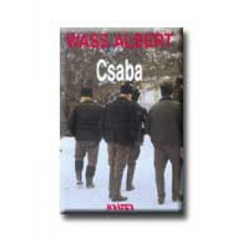 CSABA - FŰZÖTT -