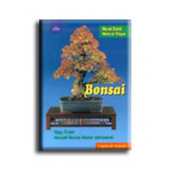 BONSAI - LÉPÉSRŐL LÉPÉSRE -